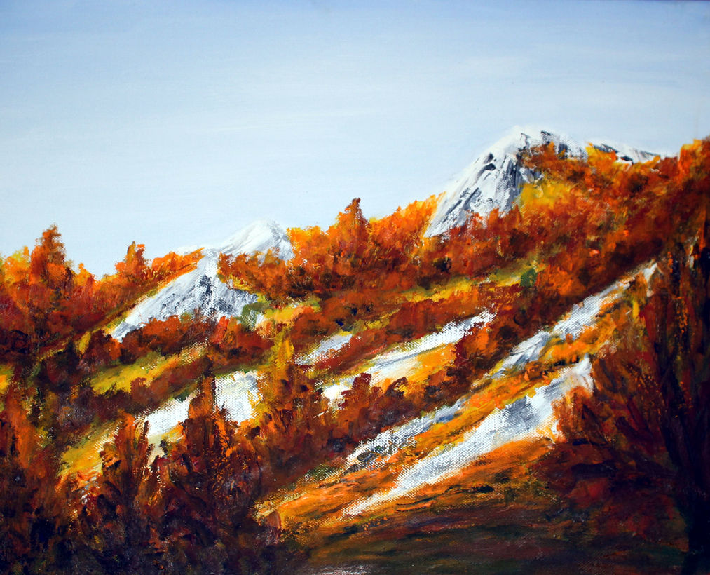 Zvonko Petanović Slavonski Brod